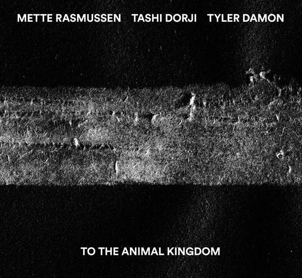 CD Shop - RASMUSSEN/DORJI/DAMON TO THE ANIMAL KINGDOM