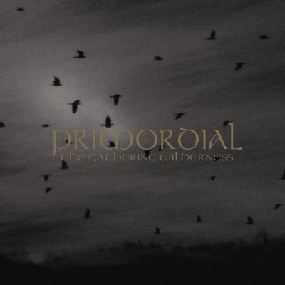CD Shop - PRIMORDIAL THE GATHERING WILDERNESS