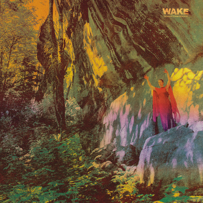 CD Shop - WAKE THOUGHT FORM DESCENT