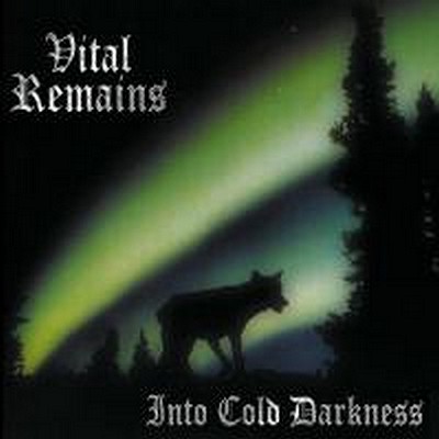 CD Shop - VITAL REMAINS INTO COLD DARKNESS