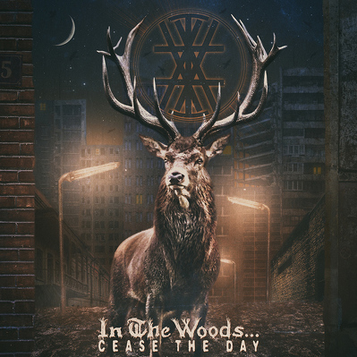 CD Shop - IN THE WOODS CEASE THE DAY