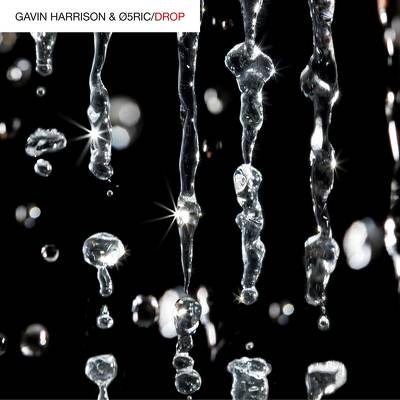 CD Shop - HARRISON, GAVIN DROP