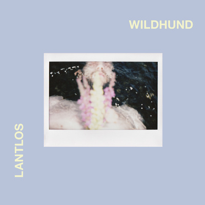 CD Shop - LANTLOS WILDHUND