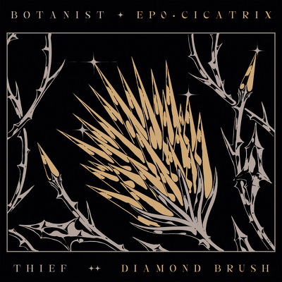CD Shop - BOTANIST THIEF CICATRIX DIAMOND BRUSH