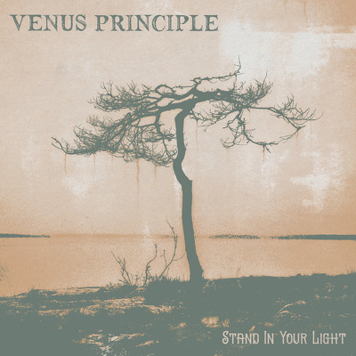 CD Shop - VENUS PRINCIPLE STAND IN YOUR LIGHT