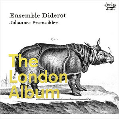 CD Shop - ENSEMBLE DIDEROT AFTER THE ITALION WAY