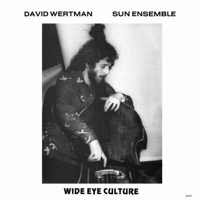 CD Shop - DAVID WERTMAN & SUN ENSEMBLE WIDE EYE