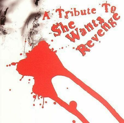 CD Shop - V/A TRIBUTE TO SHE WANTS
