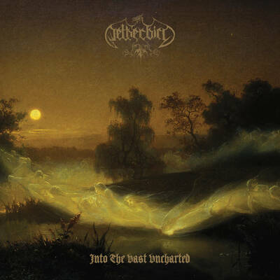 CD Shop - NETHERBIRD INTO THE VAST UNCHARTED