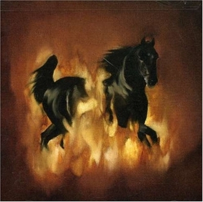 CD Shop - BESNARD LAKES ARE THE DARK HORSE