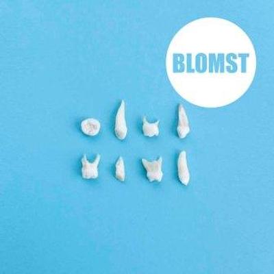 CD Shop - BLOMST BLOMST