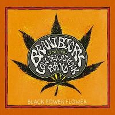 CD Shop - BRANT BJORK & THE LOW BLACK POWER FLOW