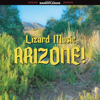 CD Shop - LIZARD MUSIC ARIZONE!