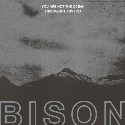 CD Shop - BISON YOU ARE NOT THE OCEAN YOU ARE THE PATIENT