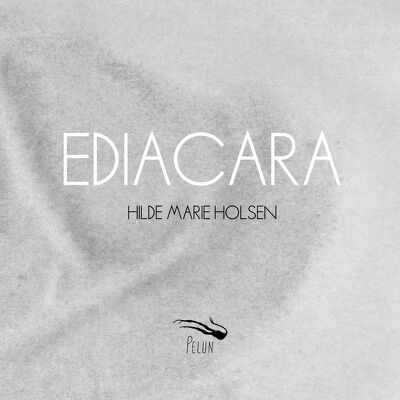 CD Shop - HOLSEN, HILDE MARIE EDIACARA