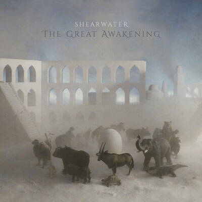 CD Shop - SHEARWATER THE GREAT AWAKENING