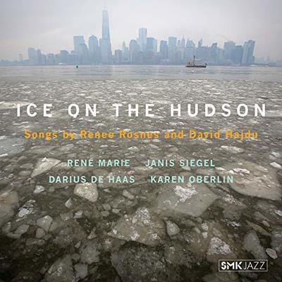 CD Shop - V/A ICE OF THE HUDSON