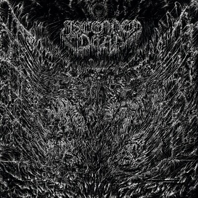 CD Shop - ASCENDED DEAD EVENFALL OF THE APOCALYP