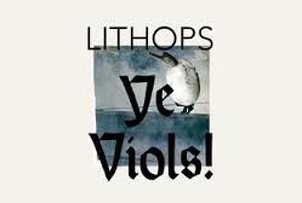 CD Shop - LITHOPS YE VIOLS!