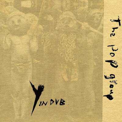 CD Shop - POP GROUP, THE Y IN DUB