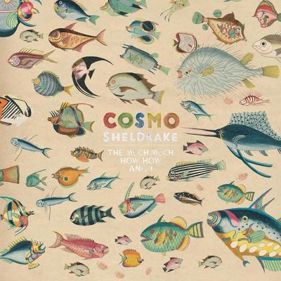 CD Shop - COSMO SHELDRAKE THE MUCH MUCH HOW HOW