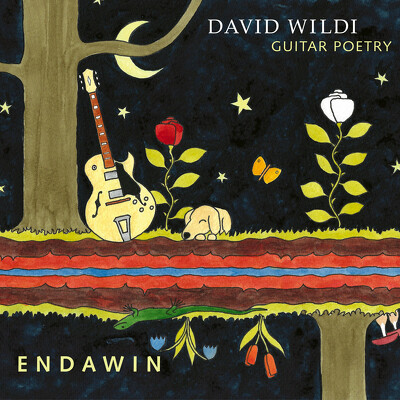 CD Shop - DAVID WILDI GUITAR POETRY ENDAWIN