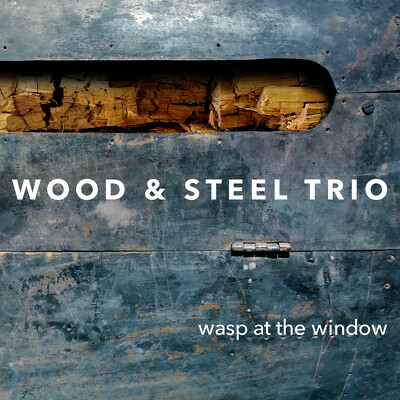 CD Shop - WOOD & STEEL TRIO WASP AT THE WINDOW