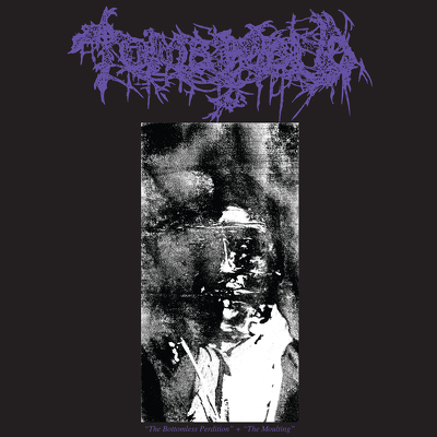 CD Shop - TOMB MOLD THE BOTTOMLESS PERDITION / T
