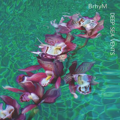 CD Shop - BRHYM DEEP SEA VENTS