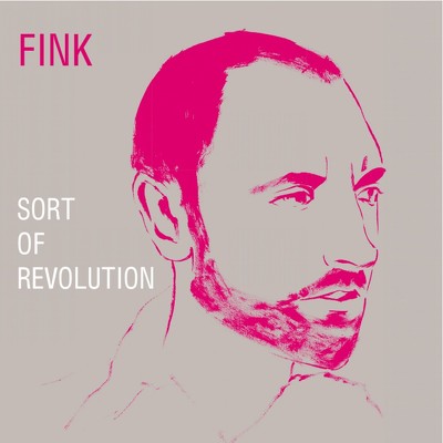 CD Shop - FINK SORT OF REVOLUTION