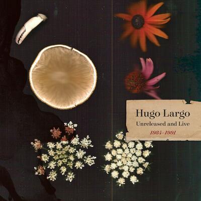 CD Shop - LARGO, HUGO HUGE, LARGE AND ELECTRIC: HUGO LARGO 1984-1991 LTD.