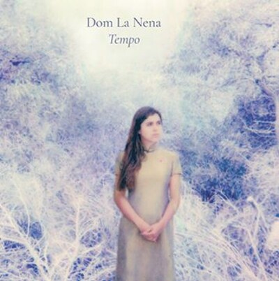 CD Shop - DOM LA NENA TEMPO LTD.