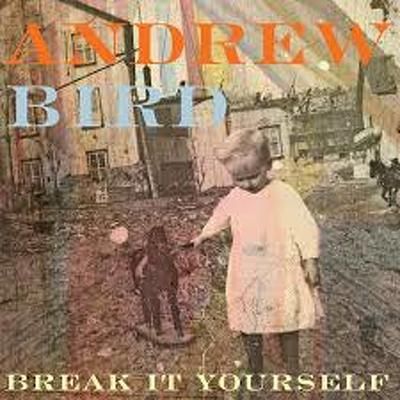 CD Shop - BIRD, ANDREW BREAK IT YOURSELF LTD.