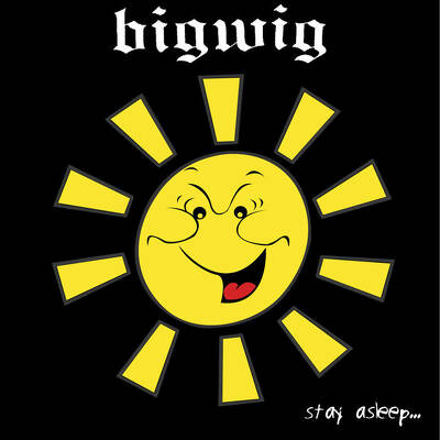 CD Shop - BIGWIG STAY ASLEEP LTD.
