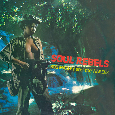 CD Shop - BOB MARLEY THE SOUL OF A REBEL LTD.