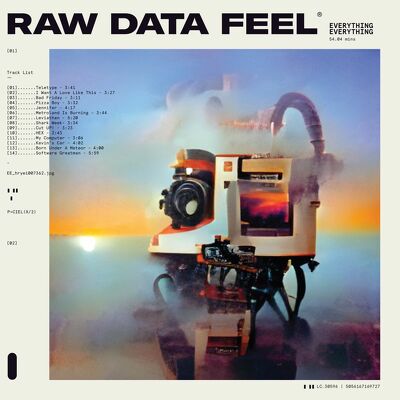 CD Shop - EVERYTHING EVERYTHING RAW DATA FEEL CL