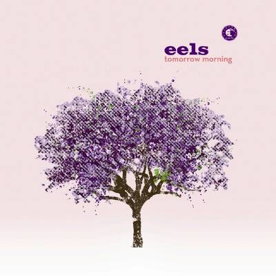 CD Shop - EELS TOMORROW MORNING LTD.