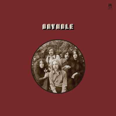 CD Shop - BRYNDLE BRYNDLE BONE LTD.