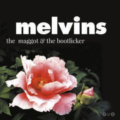 CD Shop - MELVINS MAGGOT & THE BOOTLICKER