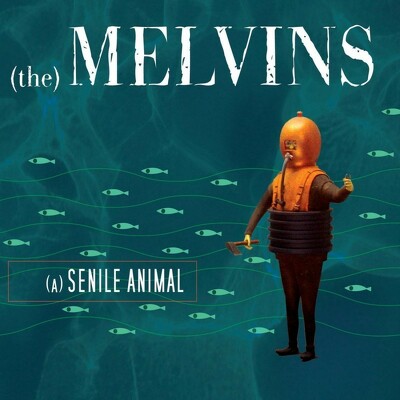 CD Shop - MELVINS SENILE ANIMAL