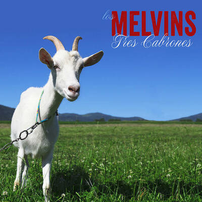 CD Shop - MELVINS TRES CABRONES