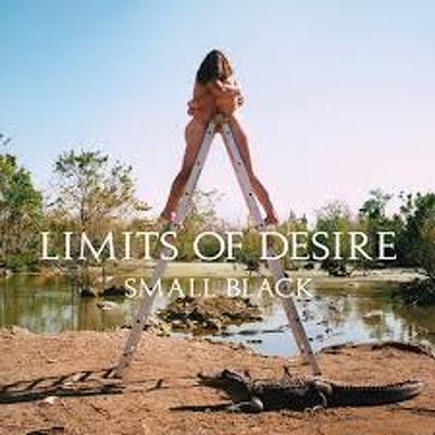 CD Shop - SMALL BLACK LIMITS OF DESIRE
