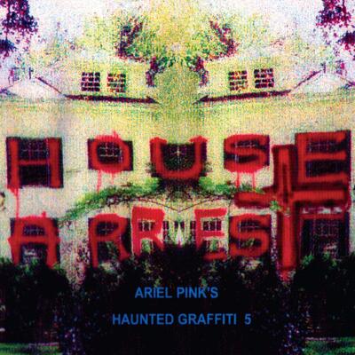 CD Shop - ARIEL PINK HOUSE ARREST LTD.