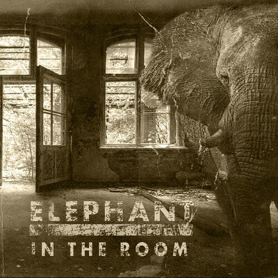 CD Shop - BLACKBALLED ELEPHANT IN THE ROOM LTD.