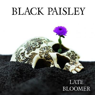 CD Shop - BLACK PAISLEY LATE BLOOMER LTD.