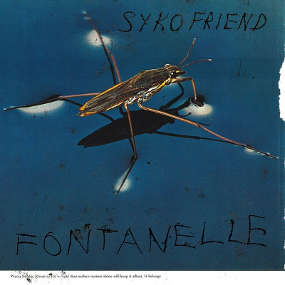 CD Shop - SYKO FRIEND FONTANELLE