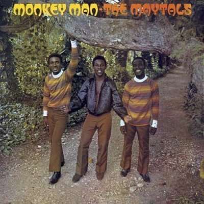 CD Shop - MAYTALS MONKEY MAN