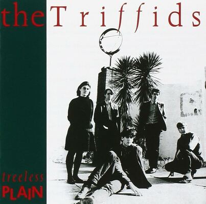 CD Shop - TRIFFIDS, THE TREELESS PLAIN