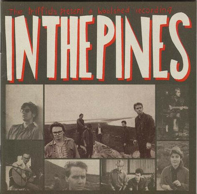 CD Shop - TRIFFIDS IN THE PINES