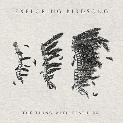 CD Shop - EXPLORING BIRDSONG THE THING WITH FEAT